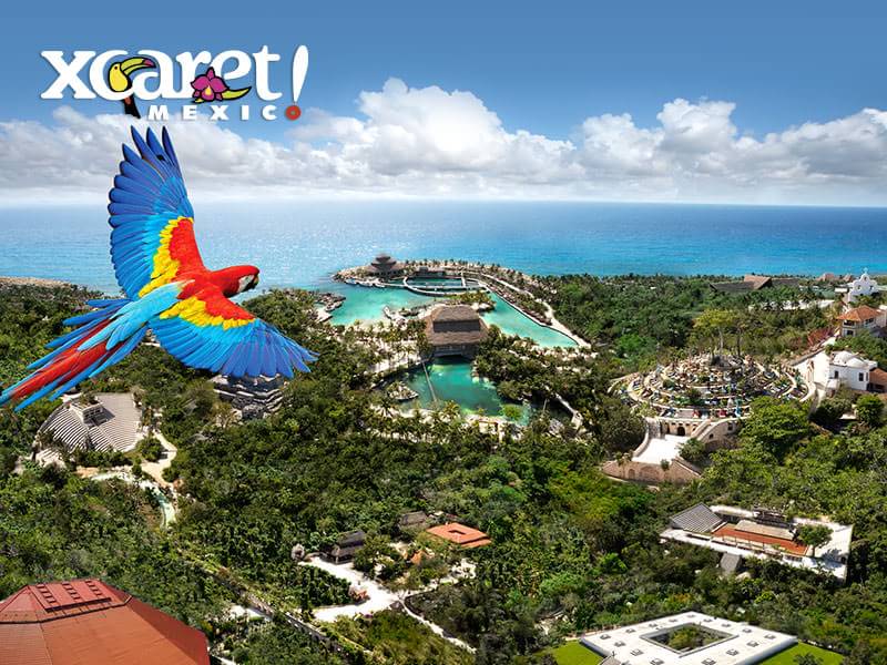 XCARET