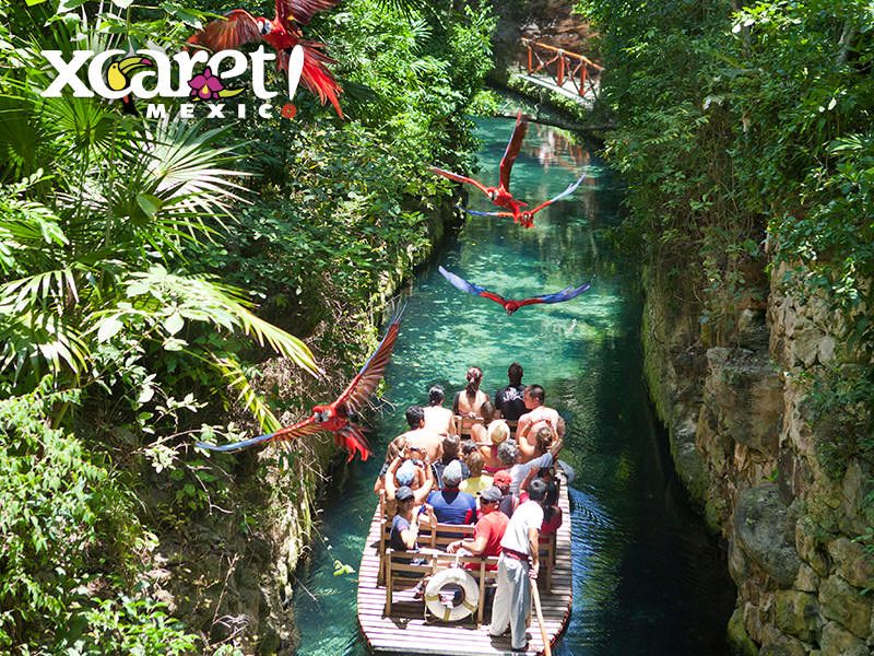 XCARET 2