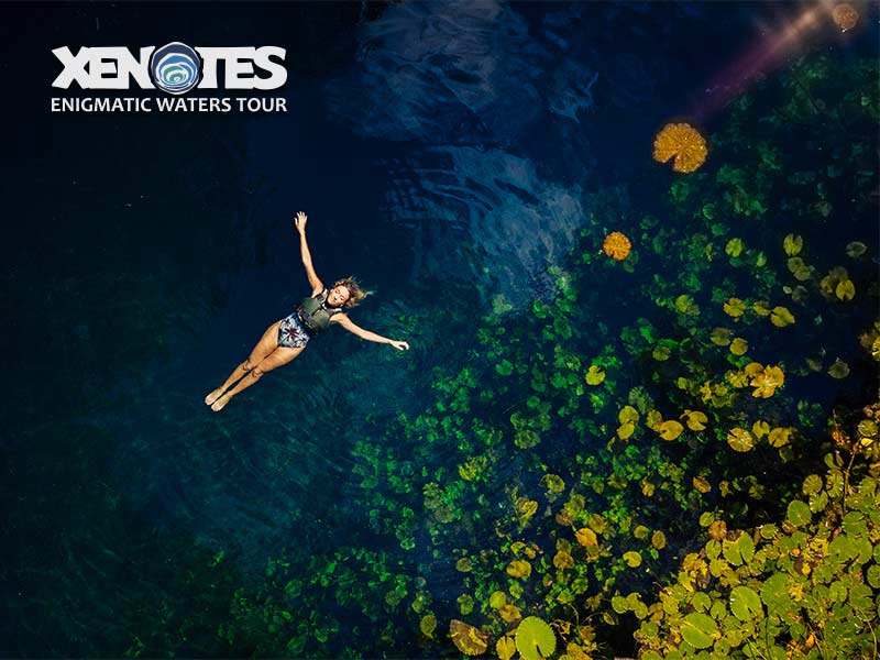 XENOTES 4