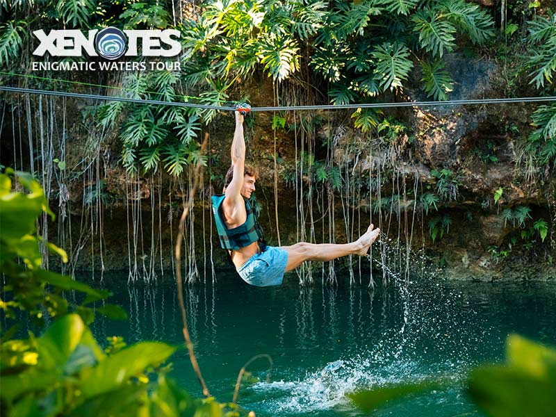 XENOTES 5