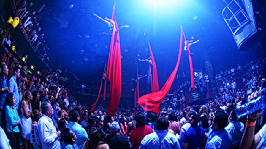 COCO BONGO 3
