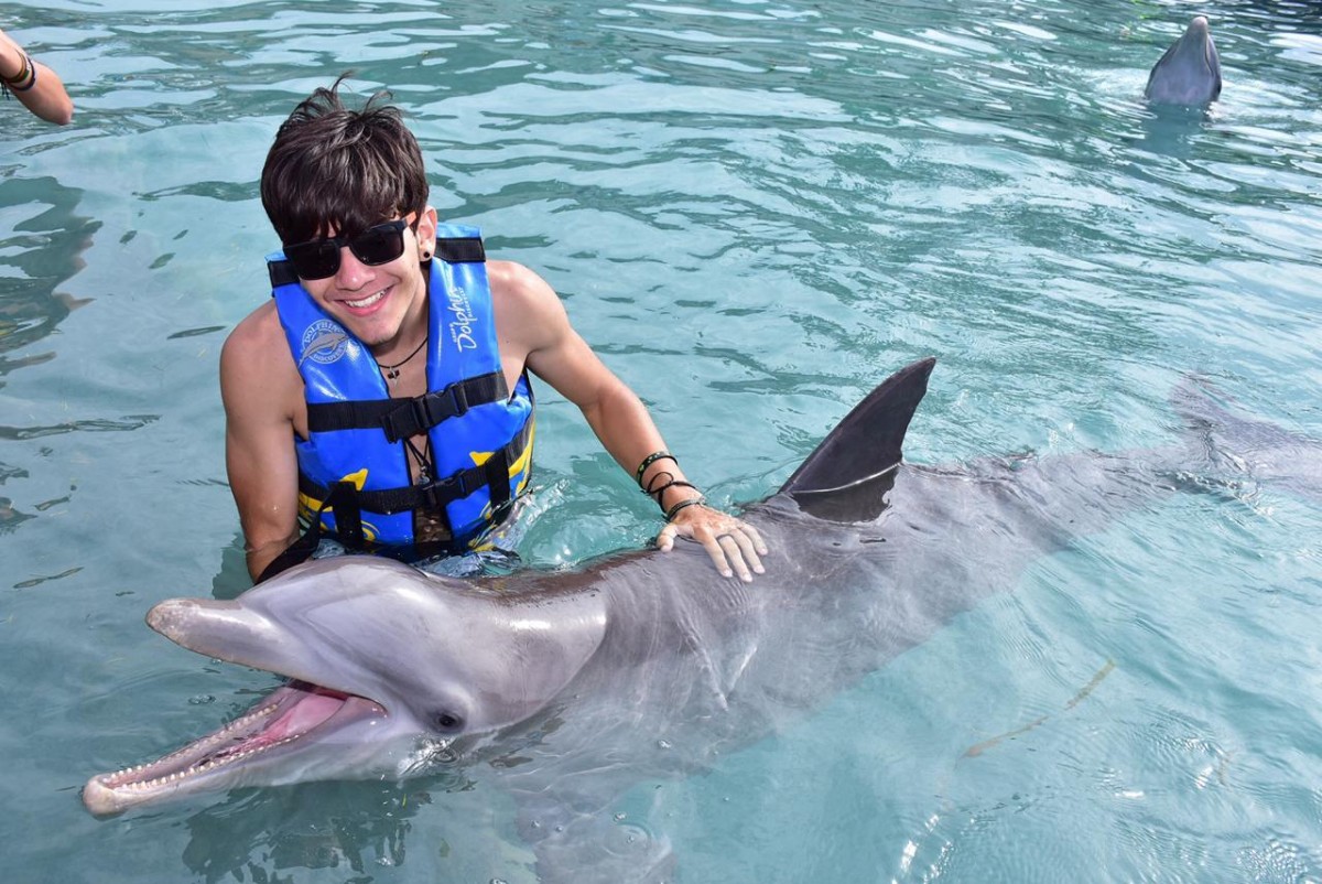 DOLPHIN DISCOVERY