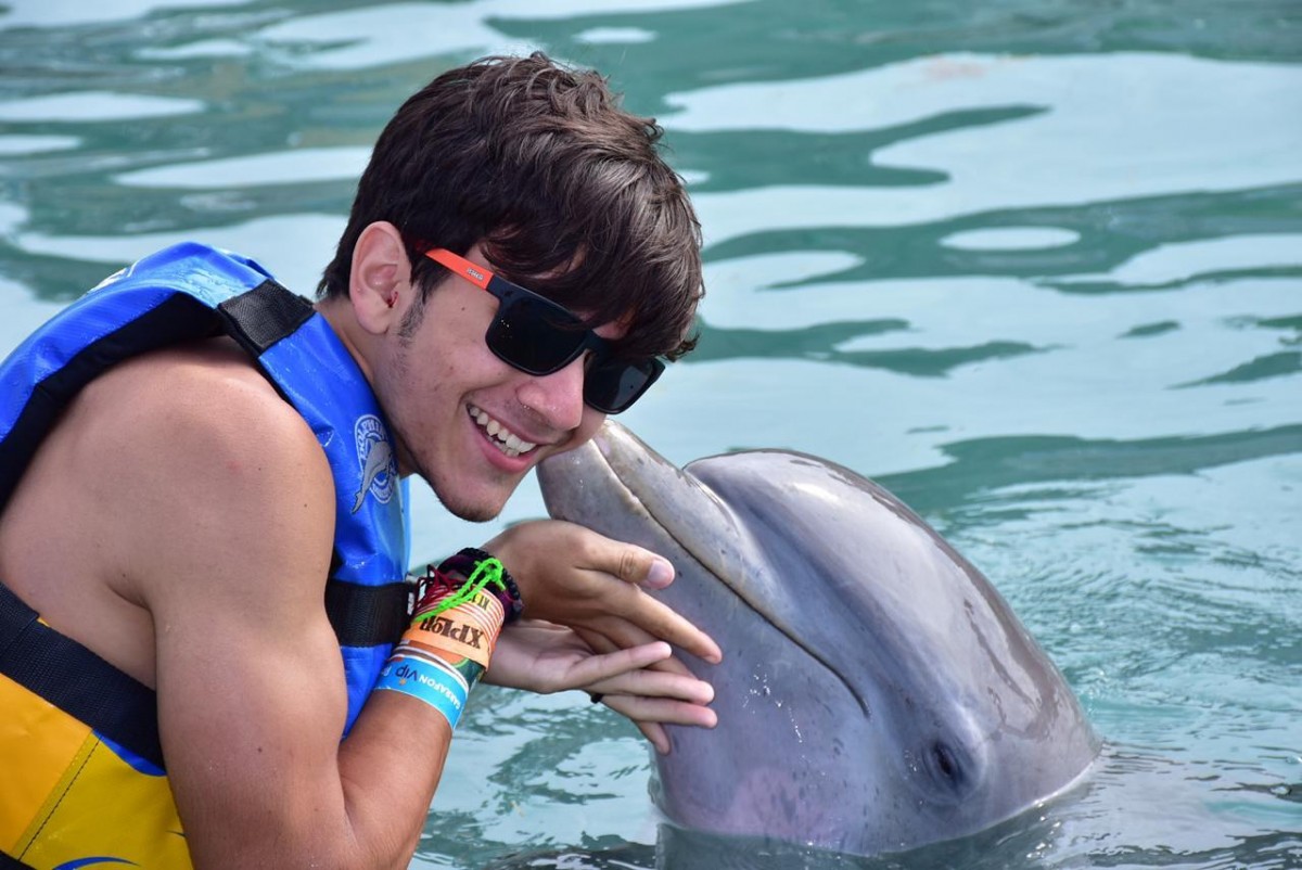 DOLPHIN DISCOVERY