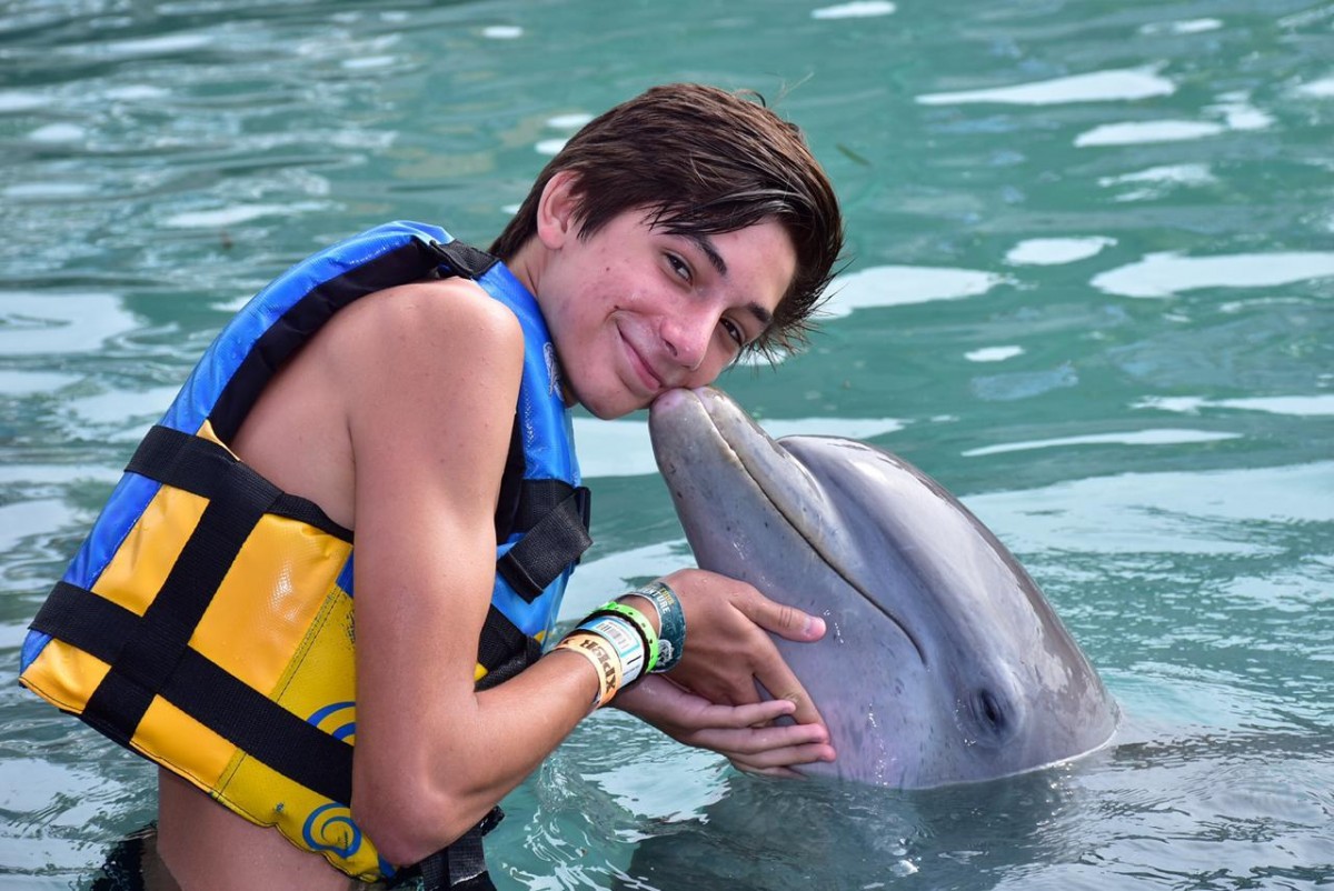 DOLPHIN DISCOVERY