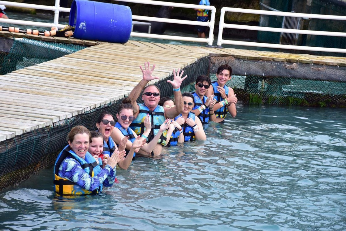 DOLPHIN DISCOVERY