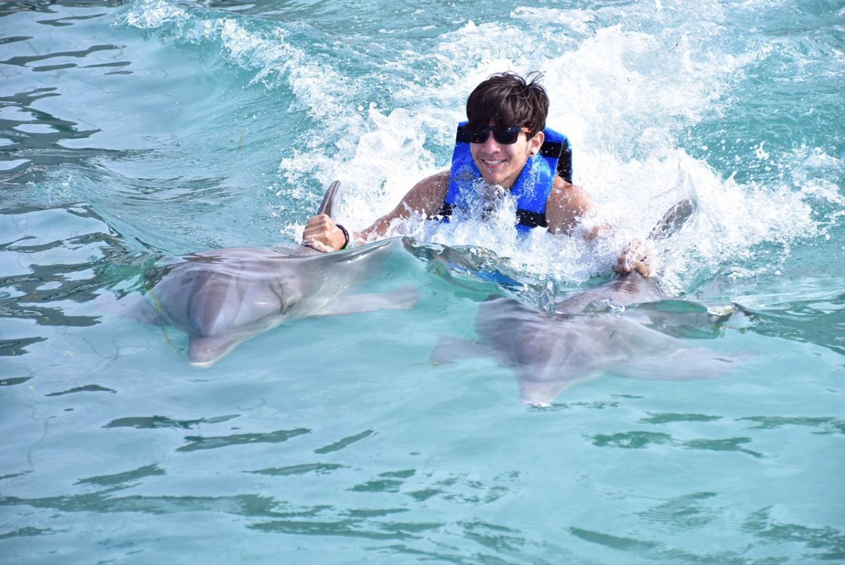 DOLPHIN DISCOVERY
