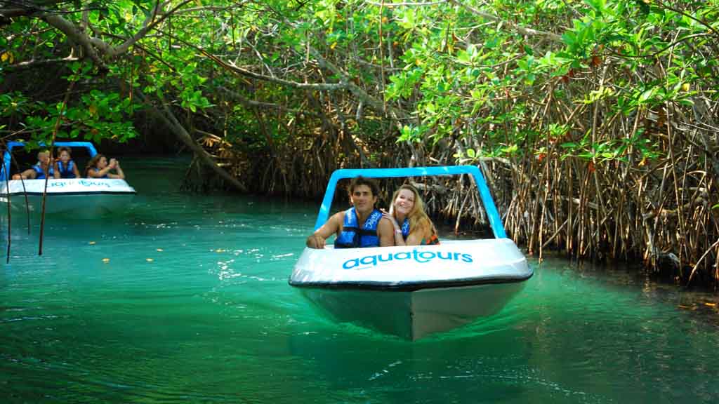 JUNGLE TOUR
