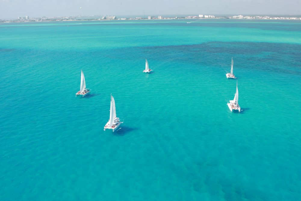 CATAMARÃ ALBATROS