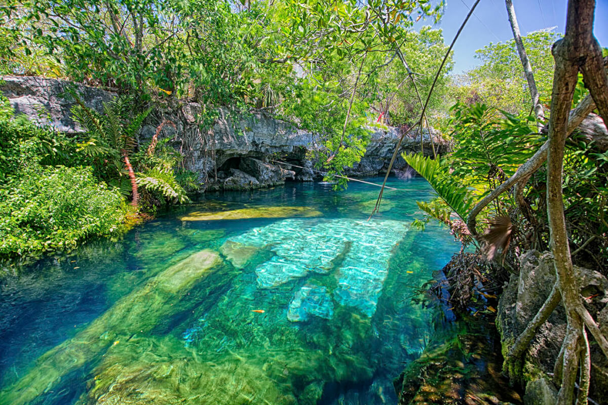 CENOTE CRISTALINO