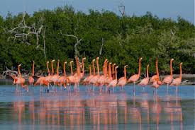 TOUR COLORADAS PLUS
