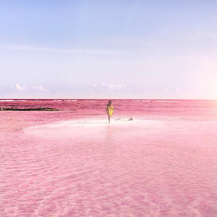 TOUR COLORADAS PLUS