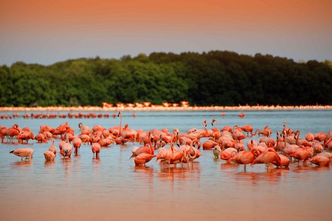 TOUR COLORADAS PLUS
