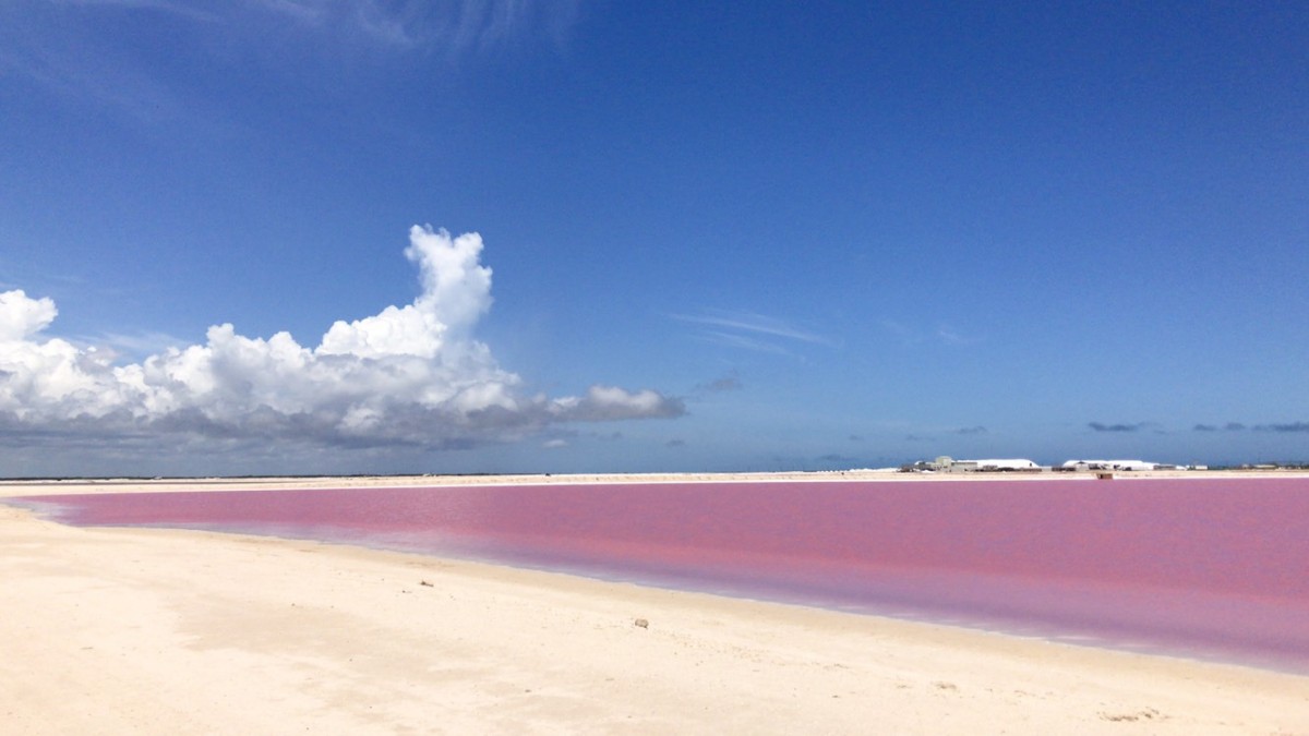 TOUR COLORADAS PLUS